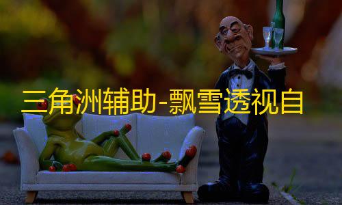 三角洲辅助-飘雪透视自瞄科技辅助效果图